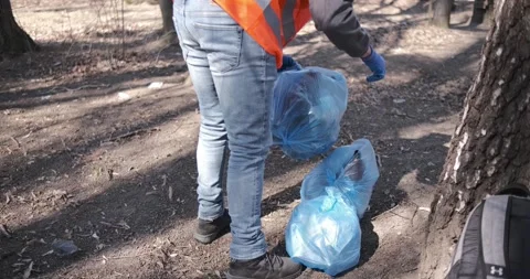 Cleaning trash in the forest, ecoactivist Stock Footage 172337681