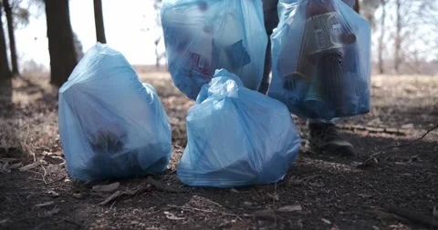 Cleaning trash in the forest, ecoactivist Stock Footage 172338868