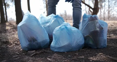 Cleaning trash in the forest, ecoactivist Stock Footage 172339964