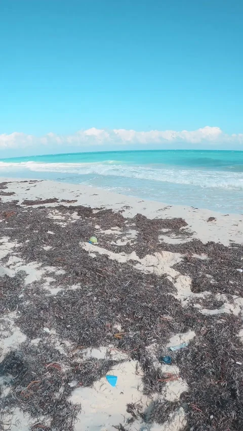 Cleaning trash from public beach in Mexico. Contributing to better world Stock Footage 233436364