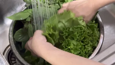 Cleaning vegetables 1 库存影片 338313929