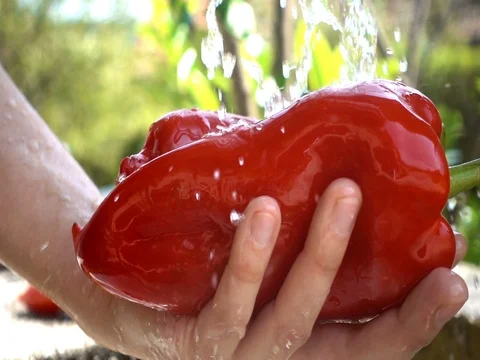 Cleaning of vegetables - red pepper -1 Stock Footage 79913576