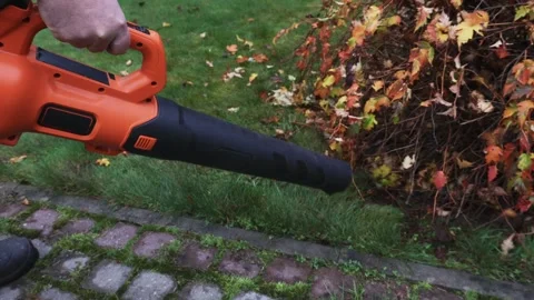 Cleaning view of cordless leaf blower, removing leaves from under bush, right Stock Footage 326965522
