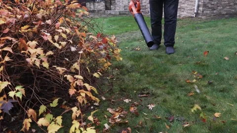 Cleaning view of cordless leaf blower, removing leaves from grass, front view Stock Footage 326965589