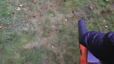 Cleaning view of cordless leaf blower, removing leaves from grass, top view Stock Footage 326968459