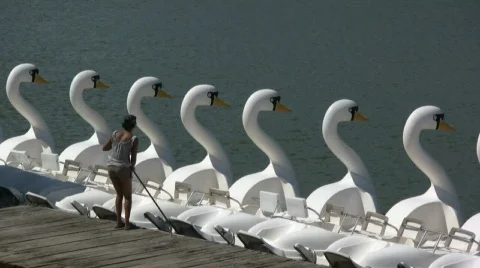 Cleaning the walkway 库存影片 449521