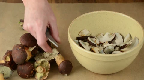 Cleaning Wild mushrooms Vídeo Stock 35102759