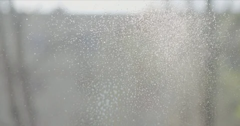 Cleaning window spray male hand Stock Footage
