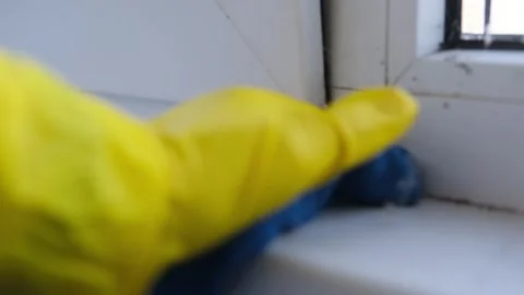 Cleaning the windowsill wiping dust by microfiber cloth for cleaning Video stock 255925046