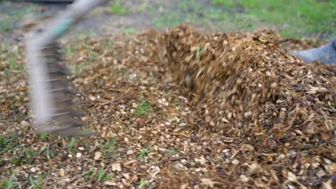 Cleaning the wood chips with a rake, close-up in slow motion Stock Footage 310927365