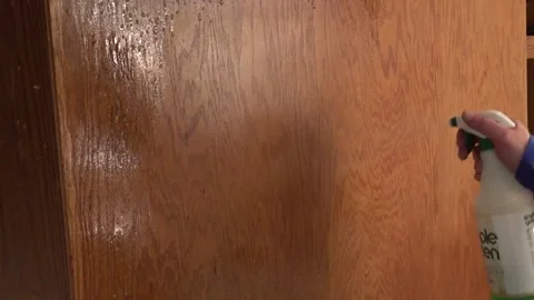 Cleaning wood in kitchen Stock Footage 250875372