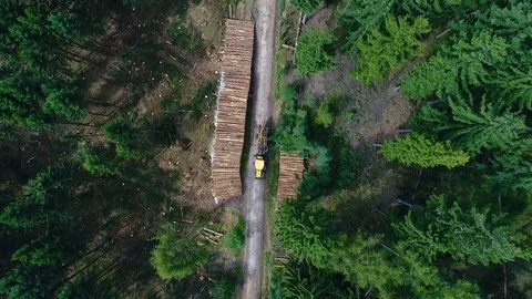Cleaning work in the forest after storm damage Stock-Footage 79127848