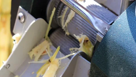 Cleanings ugarcane machine Stock Footage 171869653