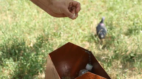 Cleanliness and preservation of the environment. Stock Footage 114000685