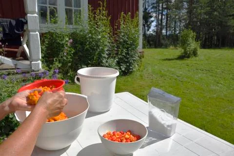 Cleanse Stock Photos