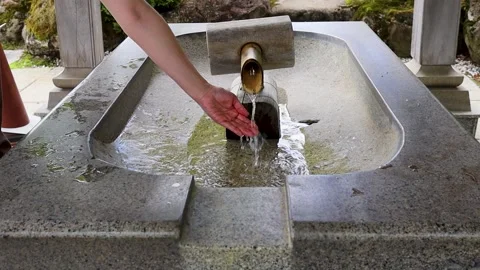 Cleansing the hands Stock Footage 243430224