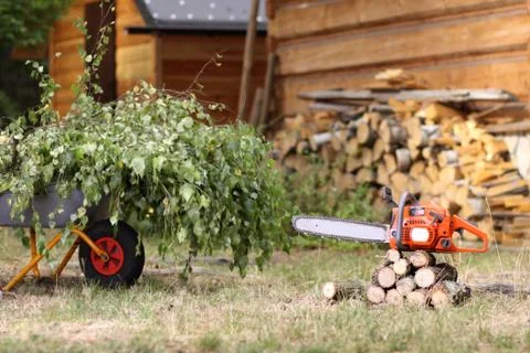 Cleanup in the garden Stock Photos