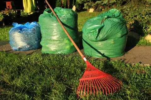 Cleanup on the plot red rakes and garbage bags Foto stock