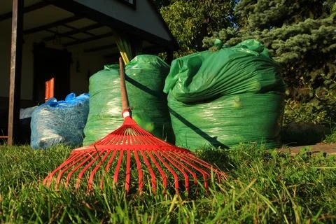 Cleanup on the plot red rakes and garbage bags Foto stock