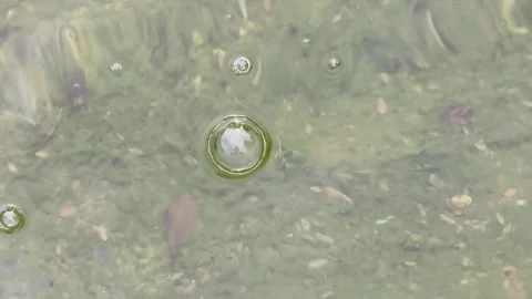 Clear air bubbles floating on a green water fountain surface Vídeo Stock 345743637