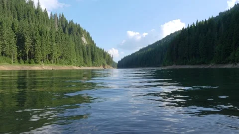 Clear and calm mountain forest lake. Summer days on the mountains Stock Footage 157209109