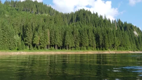 Clear and calm mountain forest lake. Summer days on the mountains Video stock 157209161