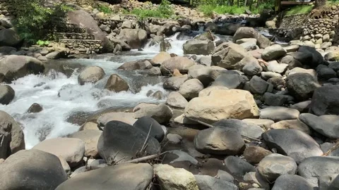 Clear and clean water flows in the river through stones in the nature. Stock Footage 274616231