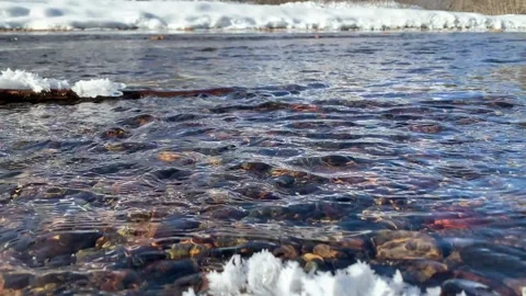 Clear and Cold Alaska Stream With Rocks Stock Footage 302590679