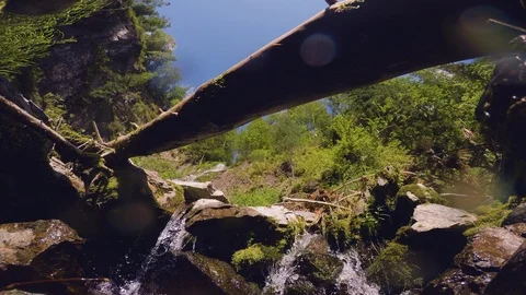 The clear and cold mountain brook. Stock Footage 95594750