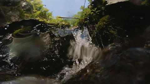 The clear and cold mountain brook. Stock Footage 95594764