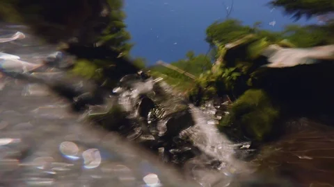 The clear and cold mountain brook. Stock Footage 95594845