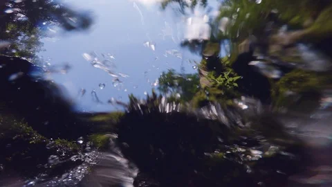 The clear and cold mountain brook. Stock Footage 95594888