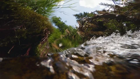 The clear and cold mountain brook. Stock Footage 95594973