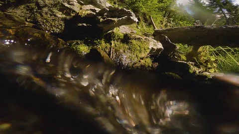 The clear and cold mountain brook. Stock Footage 95594996
