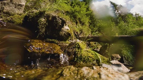 The clear and cold mountain brook. Stock Footage 95595012