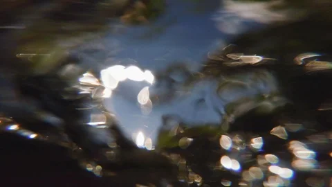 The clear and cold mountain brook. Stock Footage 96425905