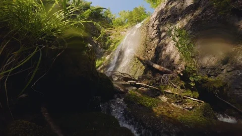 The clear and cold mountain brook. Stock Footage 96425977