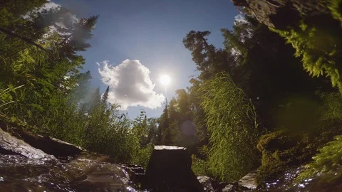 The clear and cold mountain brook. Stock Footage 96426029