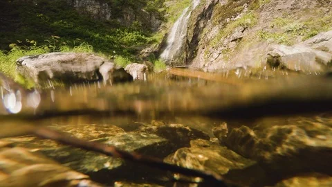 The clear and cold mountain brook. Stock Footage 96426034