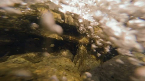 The clear and cold mountain brook. Stock Footage 96426100