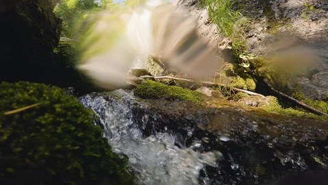 The clear and cold mountain brook. Stock Footage 96426120