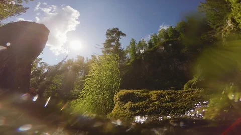 The clear and cold mountain brook. Stock Footage 96426121