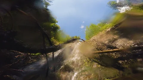 The clear and cold mountain brook. Stock Footage 96426313