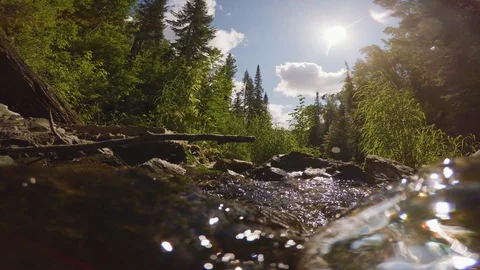 The clear and cold mountain brook. Stock Footage 96426768