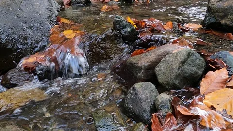 A clear and cold mountain stream gurgles and flows over rocks Stock Footage 295321327