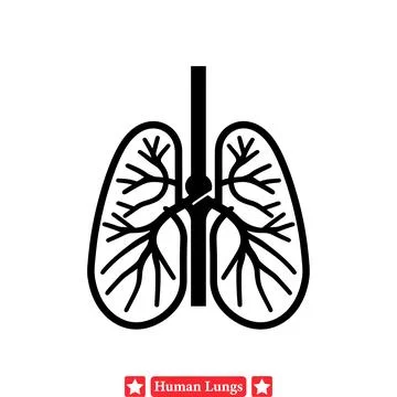 Clear and Concise Human Lungs Diagrams Suitable for Medical Poster Designs Stock Illustration