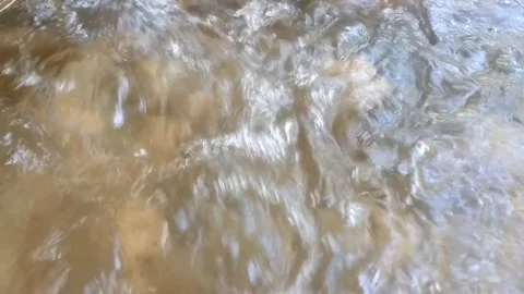 Clear and Foamy River Water Flow Vídeo Stock 334590397