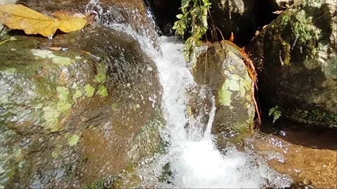 Clear and fresh water Stock Footage 236188676
