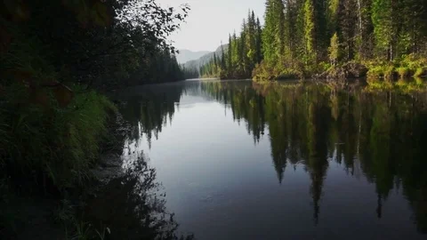 Clear and quiet river Stock Footage 81662620