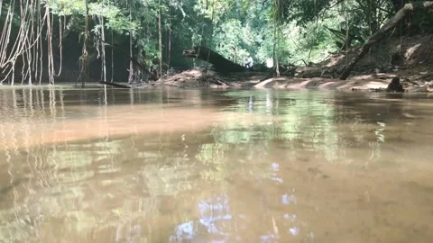 A clear and rocky river, in a quiet forest in East Borneo. Stock Footage 165186885